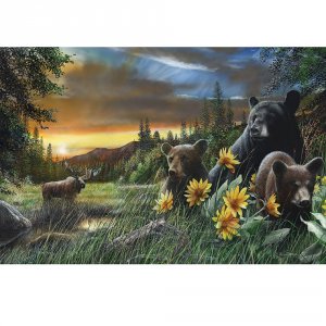 Rivers 1785 Led Wall Art - Bearsmoose 24inx16in