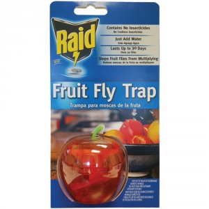 Pic FFTA-RAID (r) Ffta-raid Apple Fruit Fly Trap