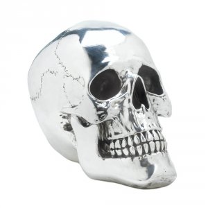 Dragon 10017013 Smiling Silvery Skull