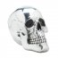 Dragon 10017013 Smiling Silvery Skull