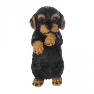 Summerfield 10017277 Climbing Cutie Dotson Puppy 34;parker34;