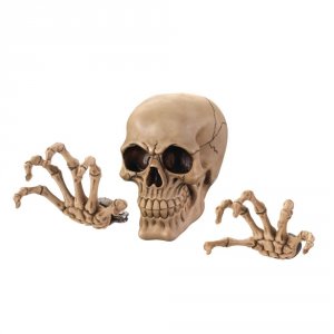 Dragon 10017295 Skeleton Wall Decor Set