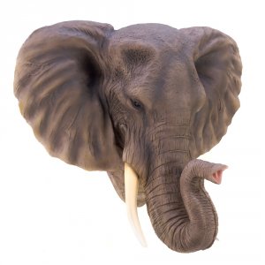 Accent 12611 Noble Elephant Wall Decor 100