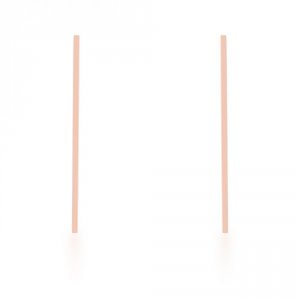 Icon J11850 Carolee Rose Gold Stainless Steel Long Line Drop Earrings 