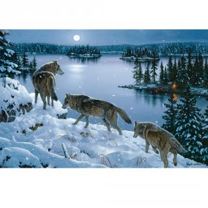 Rivers 1784 Led Wall Art - Nite Wolves 24inx16in