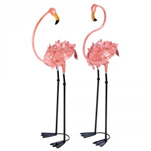 Summerfield 13772 Flamboyant Flamingo Stakes 100