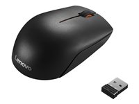 Lenovo GX30K79402 300 Wireless Compact Mouse - Na