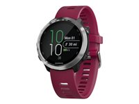 Garmin 010-01863-21 Forerunner 645