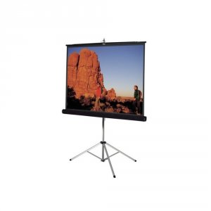 Da-lite 93876 Carpeted Picture King Projection Screen With Tripod 96x9