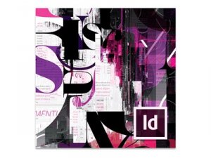 Adobe 65098861AF01A12 Indesign Server Limited