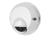 Axis 0412-001 Axis M3113 Ve Network Cam