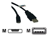 Tripp U050-006 6ft Usb 2.0 Hi-speed Cable A Male To Usb Micro-b M-m - 