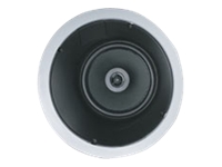 Sony CWSIC100T Standard 65in Ceiling Home Theater Speakers