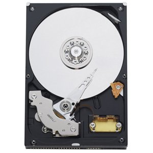 Western WD5000AAVS 500gb Sata 3gbs 7.2k Rpm 3.5in