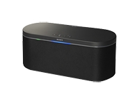 Sony SRSBT100 Speakers Wireless Volume Control