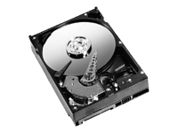 Western WD2500AAKS 250gb Sata 3g 3.5in