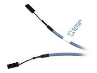 C2g 07090 24in Digital Cddvd 2-pin Audio Cable