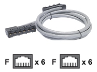 Apc DDCC5E-027 Apc Data Distribution Cable - Network Cable - Rj-45 (f)