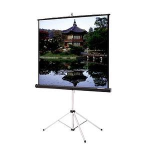 Da-lite 69895 60inx60in Picture King Tripod Matte White Sq Format Gray