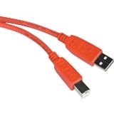 C2g 35668 2m Usb 2.0 Ab Cable Orange