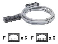 Apc DDCC5E-035 Apc Data Distribution Cable, Cat5e Utp Cmr Gray, 6xrj-4