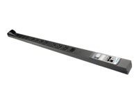 Raritan DPXS12-30L Dpxs12-30l Pdu 120vac W 12