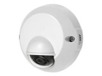 Axis 0450-001 M3114 Ve Nocap 2mm Outdoor Fixed Dome