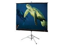 Draper 215008 Diplomat R Portable Tripod Projector Screen 7ft 4 3