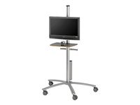 Bretford FPP72V200 Flat Panel Freestanding Cart