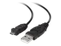 Belkin F3U151B03 Cable,usb,usbausbmicrob,3,blk