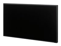 Sony FWDS46H2/DS 46in S Series Digital Signage Bdl