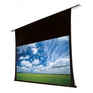 Draper 102174 Access Series V Motorized Projector Screen 10 Feet X 10 