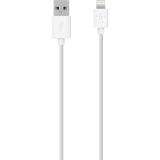 Belkin F8J023BT04-WHT Synccharge Cable, 1.2m, 4ft