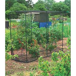 Gardman 7661 Fruit Cage Medium