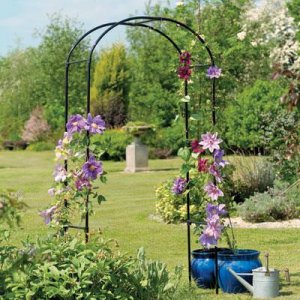 Gardman R350 Rose Arch 3'3 X 6'3