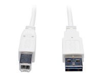 Tripp UR022-006-WH 6ft Usb 2.0 High Speed Cable Reverisble A To B Mm W