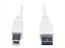 Tripp UR022-006-WH 6ft Usb 2.0 High Speed Cable Reverisble A To B Mm W