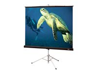 Draper 213020 Portable Prj Screen Dplmat R 10 Feet Diag 4 3 Format Gb