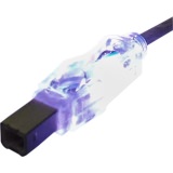 Qvs CC2209C-06PRL Usb 2.0 480mbps Type A Male To B Male Translucent Ca