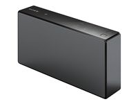 Sony SRSX5/BLK Pt Bt Speakers W  Nfc Black