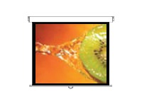 Optoma DS-3084PMG+ 84inch,4:3 Screen Aspect Ratio,160degrees Viewing A