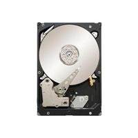 Seagate ST500NM0001 Hard Disk Drive  500gb Sas 6gb S Enterprise Storag