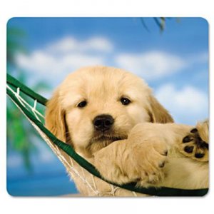 Fellowes 5913901 Mousepad, Recycled Optical, Puppy In Hammock