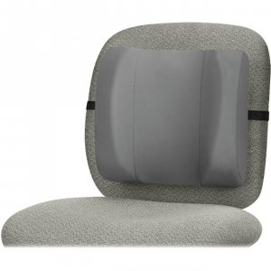 Fellowes 91926 Standard Back Rest, Graphite