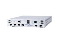 Nortel DM1401157) Contivity Secure Ip Services Gateway 1100 - Vpn Gate