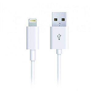 Cygnett CY1101PCCSL Usb A To Flash Power Charge