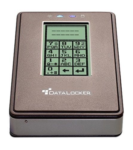 DataLocker-DL256E2SSD