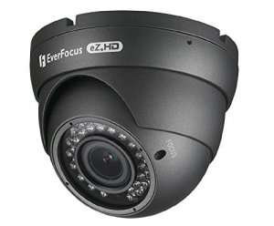 Everfocus EBD935F 1080p Full Hd True Day  Night Outdoor Ir Ball Camera