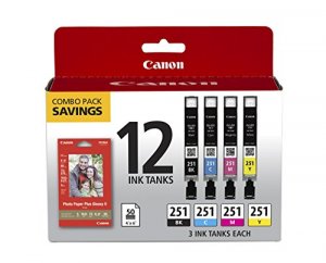 Original Canon 6513B010 Cli-251 Bkcmy 12pack Pp-201 Combo Pack