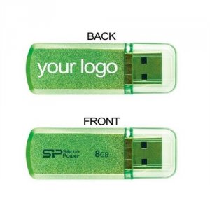 Silicon 08GBUF2101V1NOO Customization 8gb Flash Drive 2.0 With C